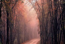 海星体育:针灸中医拿下格斗冠军!“十三妹”石铭火爆外网中新体坛.