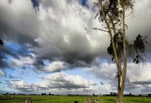 海星体育:祝贺!郑钦文闯入WTA年终总决赛决赛人民日报客户端.