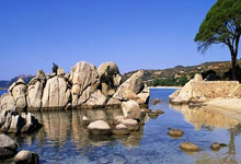 赖斯:当年一直关注特里,我被切尔西解约后非常伤心.